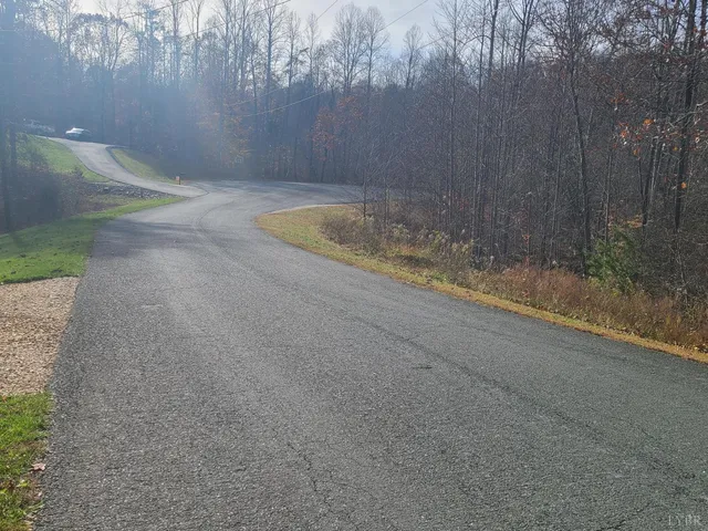 $389,900 | 1231 Little Bear Lane, Spout Spring, VA 24593