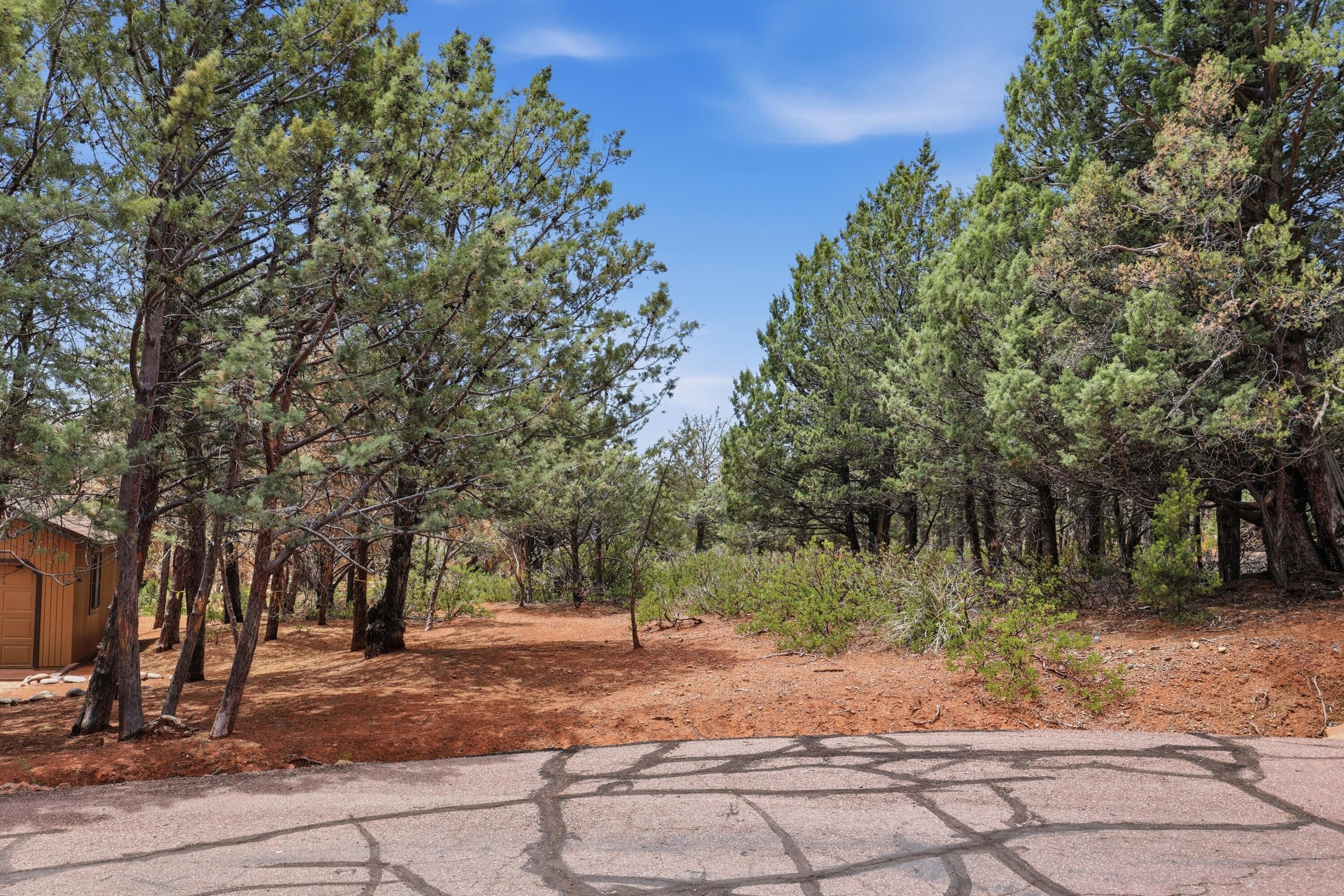 20 Hidden Pines Loop Pine, AZ 85544 - Photo 5 of 13 a view of a yard with plants and trees beside of it