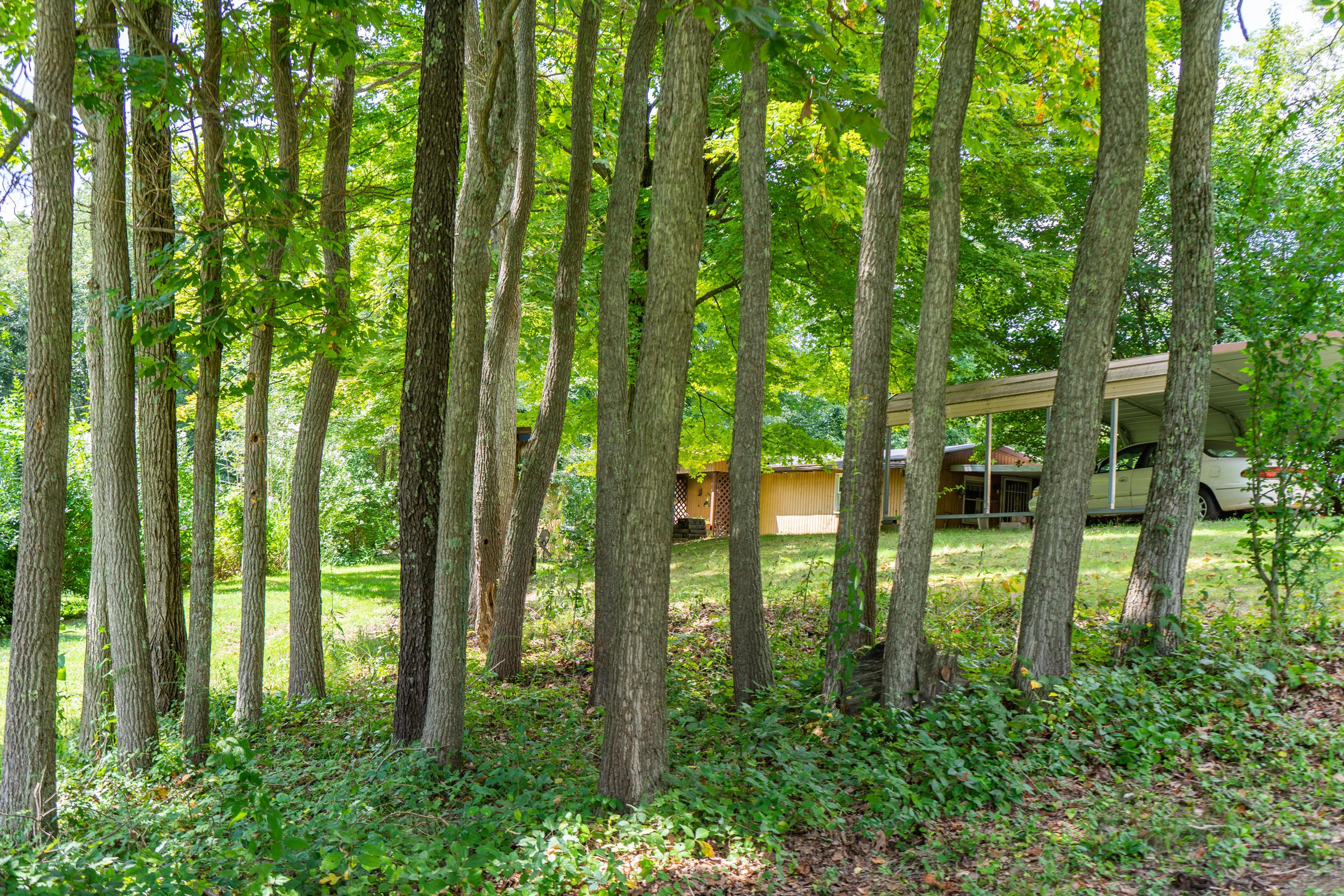 60135 Mt Zion Road McArthur, OH 45651 - Photo 29 of 31