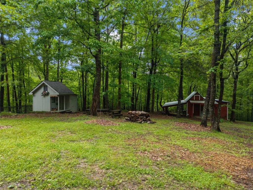 219 Raven Cliff Road Talking Rock, GA 30175 - Photo 53 of 77 a view of a house with backyard and trees