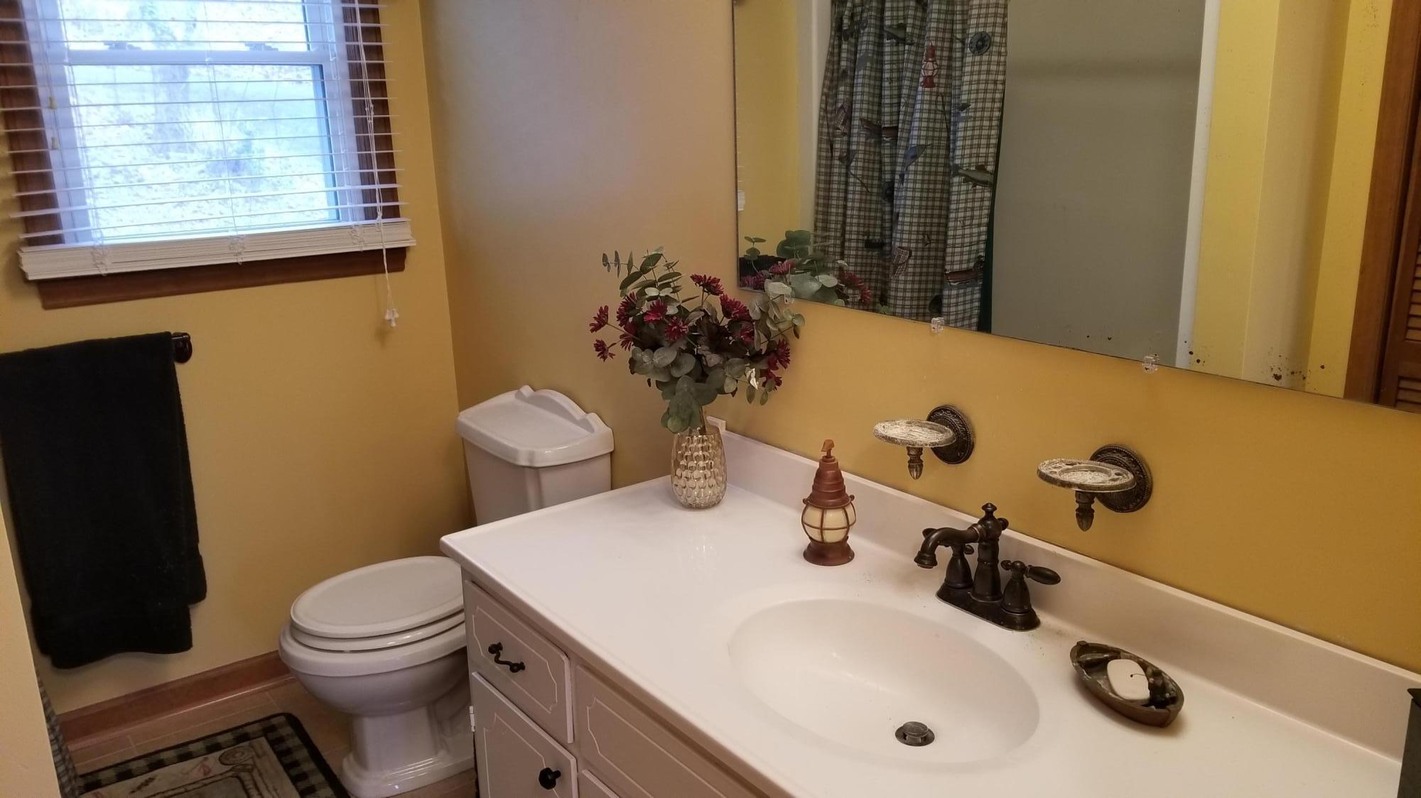 541 Highland Lake Road Union Hall, VA 24176 - Photo 14 of 37 a bathroom with a sink a toilet and mirror