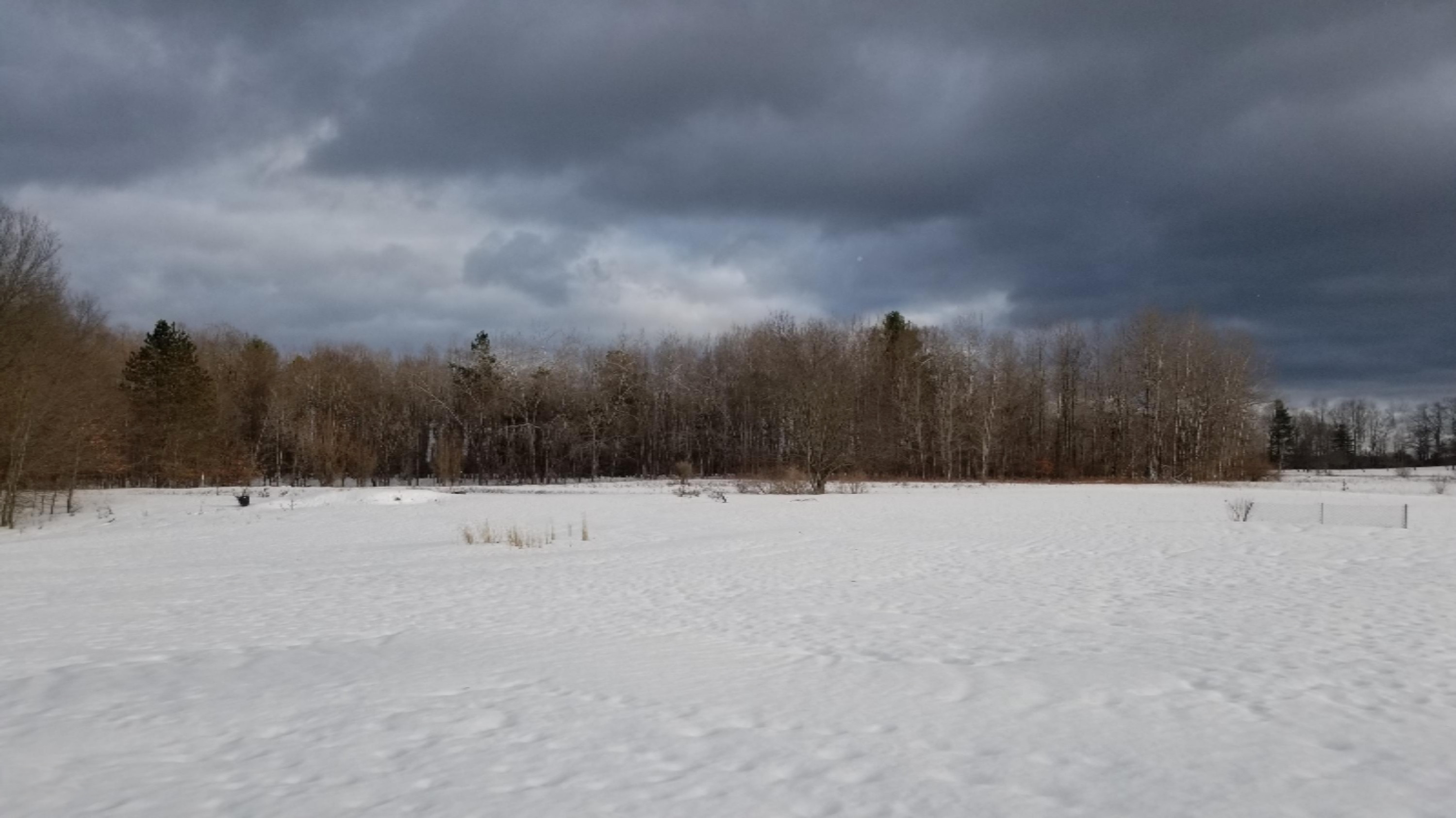 2975 Keith Road Brethren, MI 49619 - Photo 4 of 31 20210224_170347