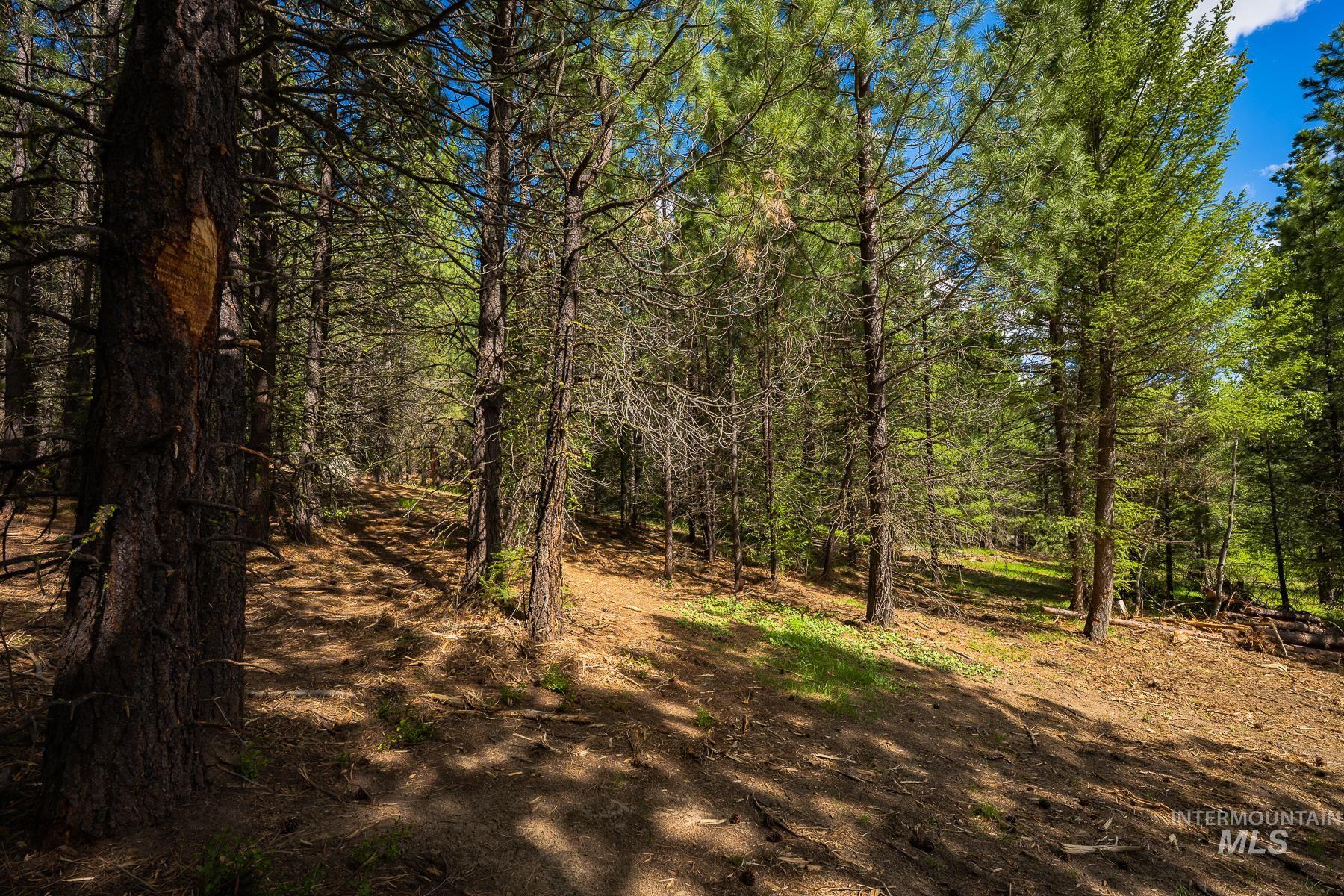 63 Price Loop Cascade, ID 83611 - Photo 14 of 20
