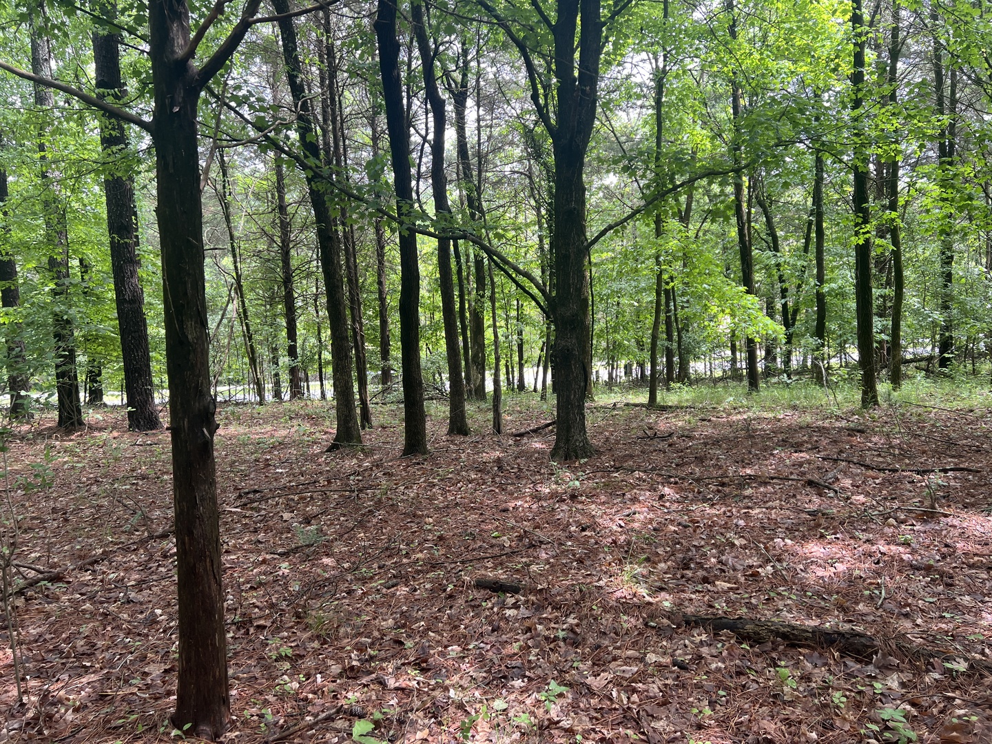 Lot 147 Parrish Ridge Goreville, IL 62939 - Photo 16 of 20