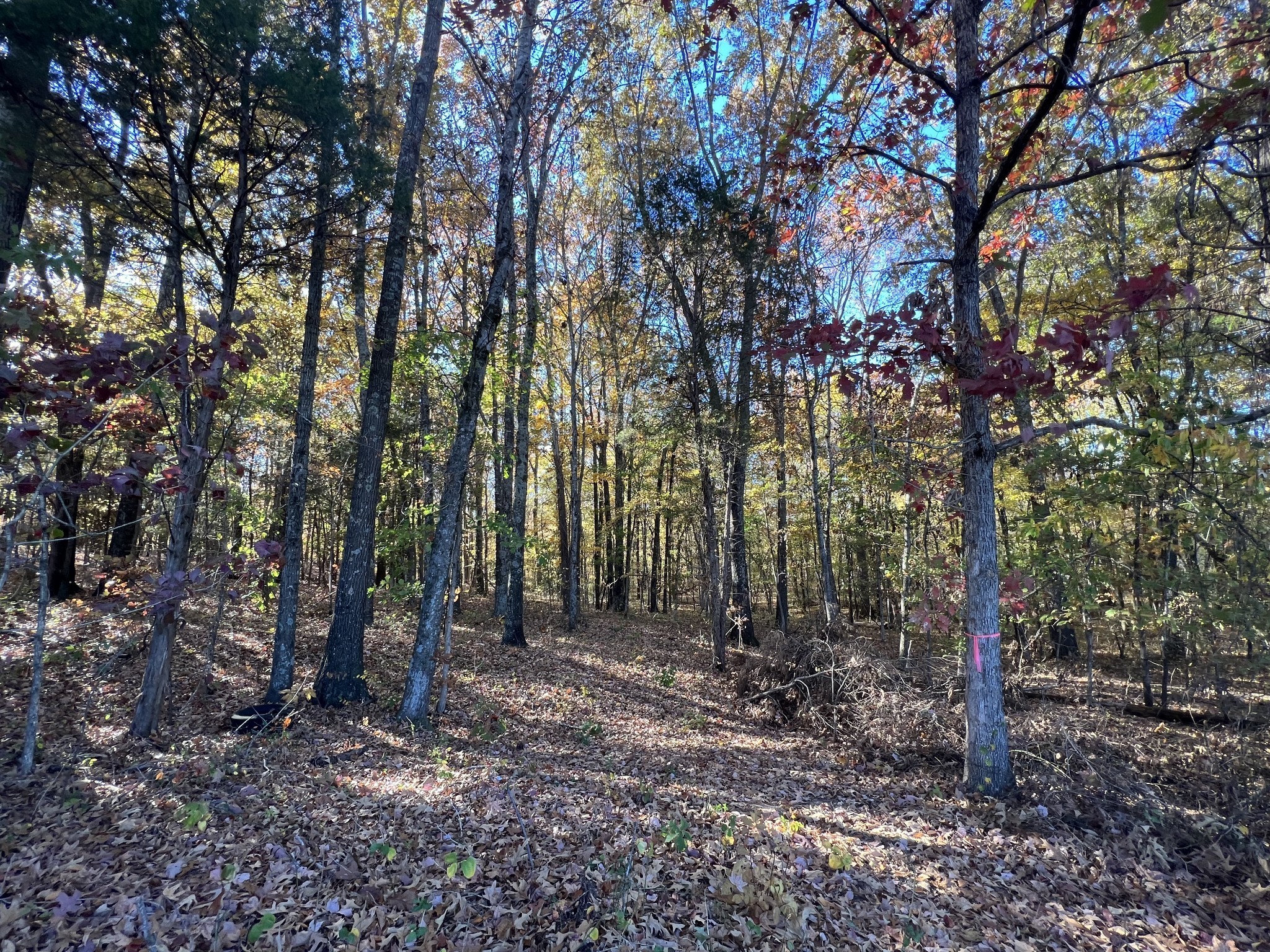 9 Gibbs Road Woodlawn, TN 37191 - Photo 1 of 5 Gallery Image 1