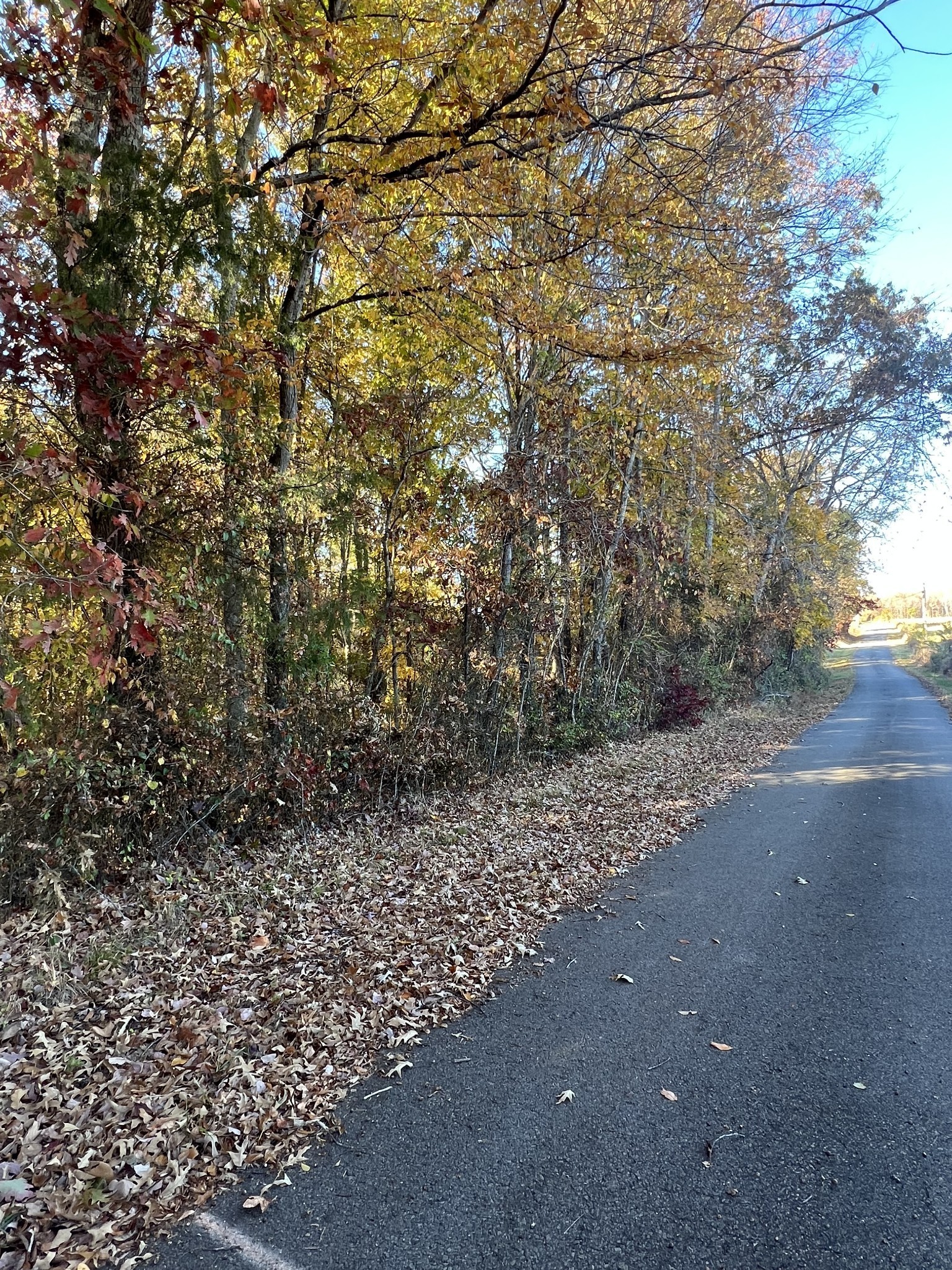 9 Gibbs Road Woodlawn, TN 37191 - Photo 2 of 5 Gallery Image 2