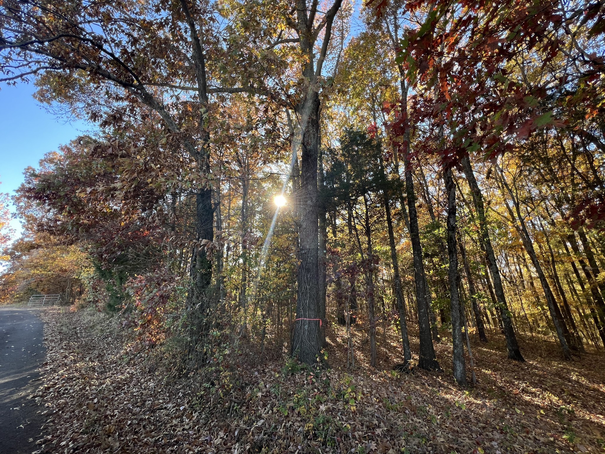 9 Gibbs Road Woodlawn, TN 37191 - Photo 4 of 5 Gallery Image 4