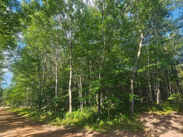 $33,500 | Lot 1 Ken Can Lane, Webster, WI 54893