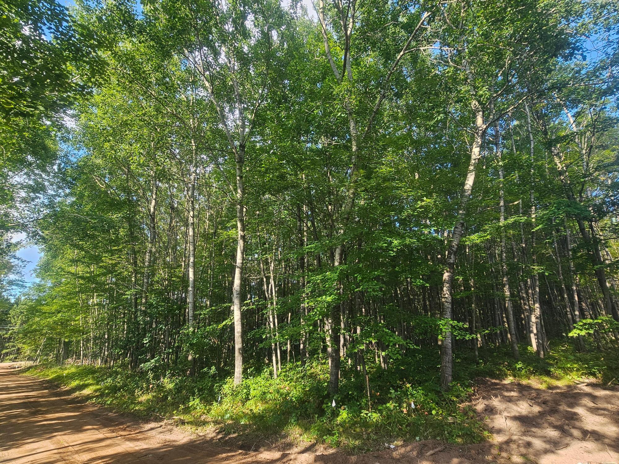 Lot 1 Ken Can Lane Webster, WI 54893 - Photo 2 of 9