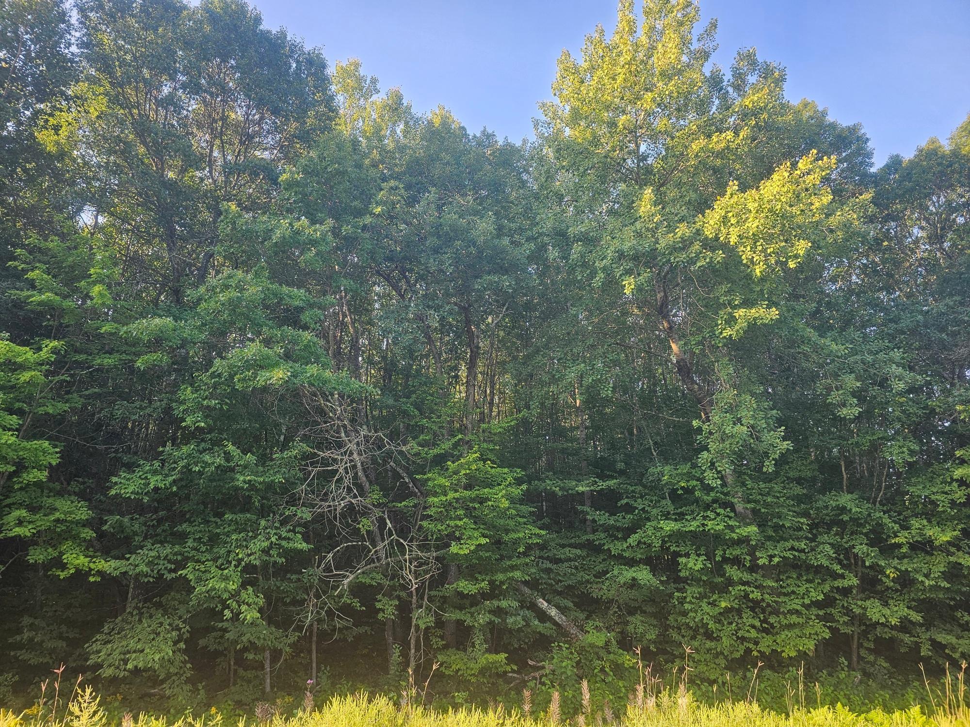 Lot 1 Ken Can Lane Webster, WI 54893 - Photo 5 of 9