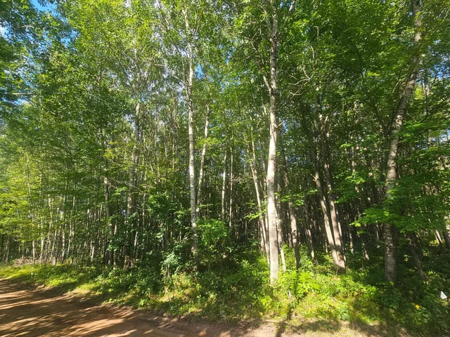 $33,500 | Lot 1 Ken Can Lane, Webster, WI 54893