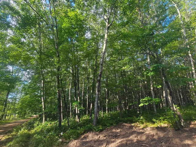 $33,500 | Lot 1 Ken Can Lane, Webster, WI 54893