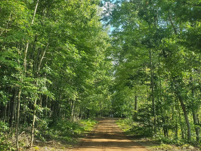 $33,500 | Lot 1 Ken Can Lane, Webster, WI 54893
