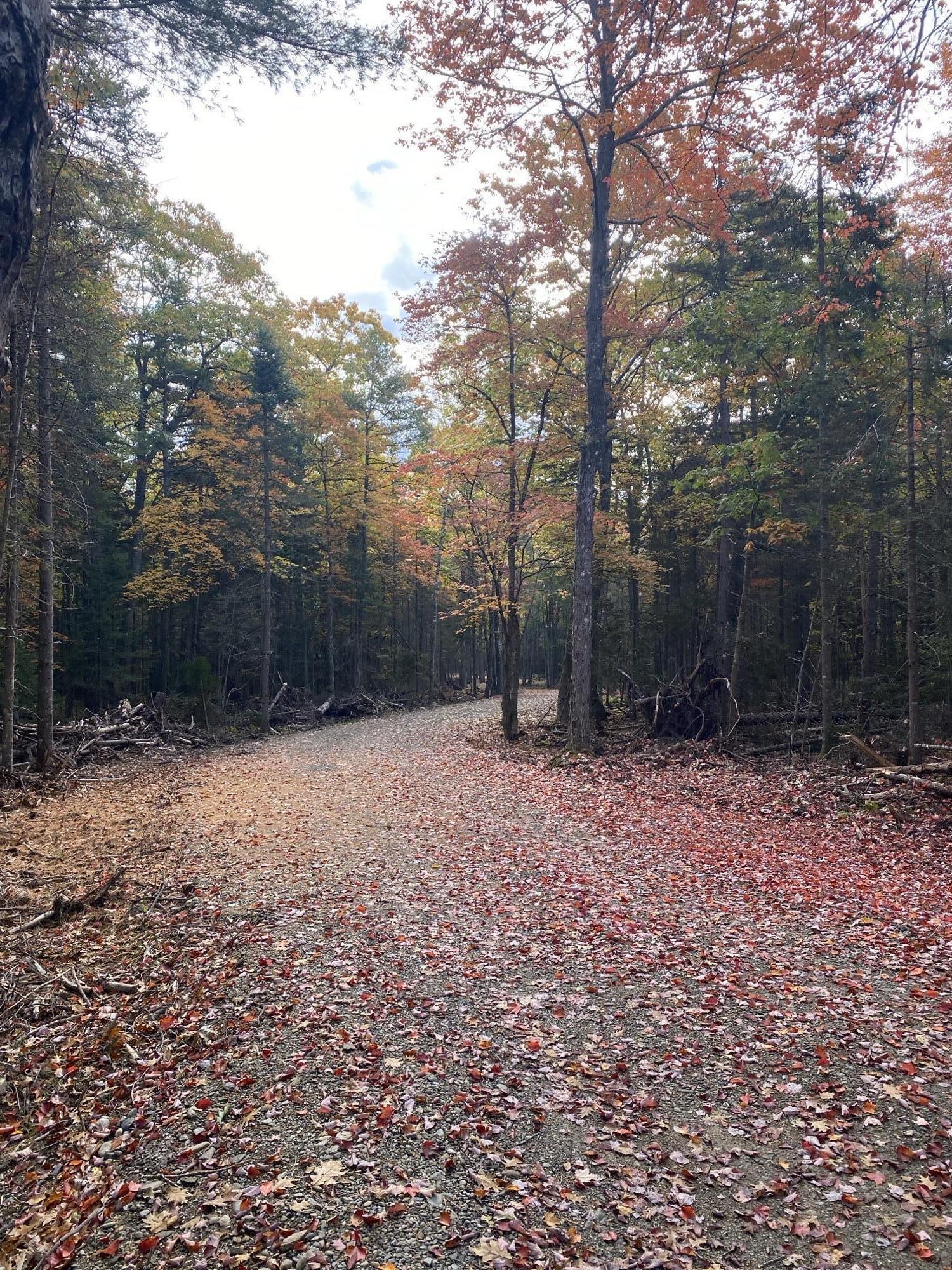 55 Lower Oak Point Road Winterport, ME 04496 - Photo 14 of 31