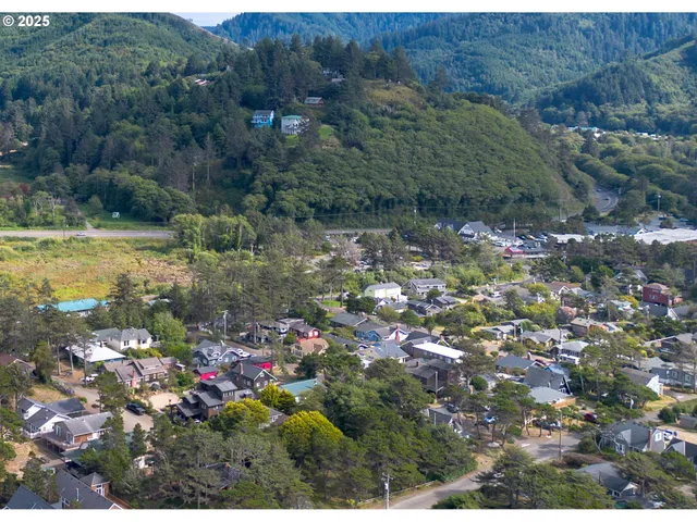 a view of a lot of trees and bushes