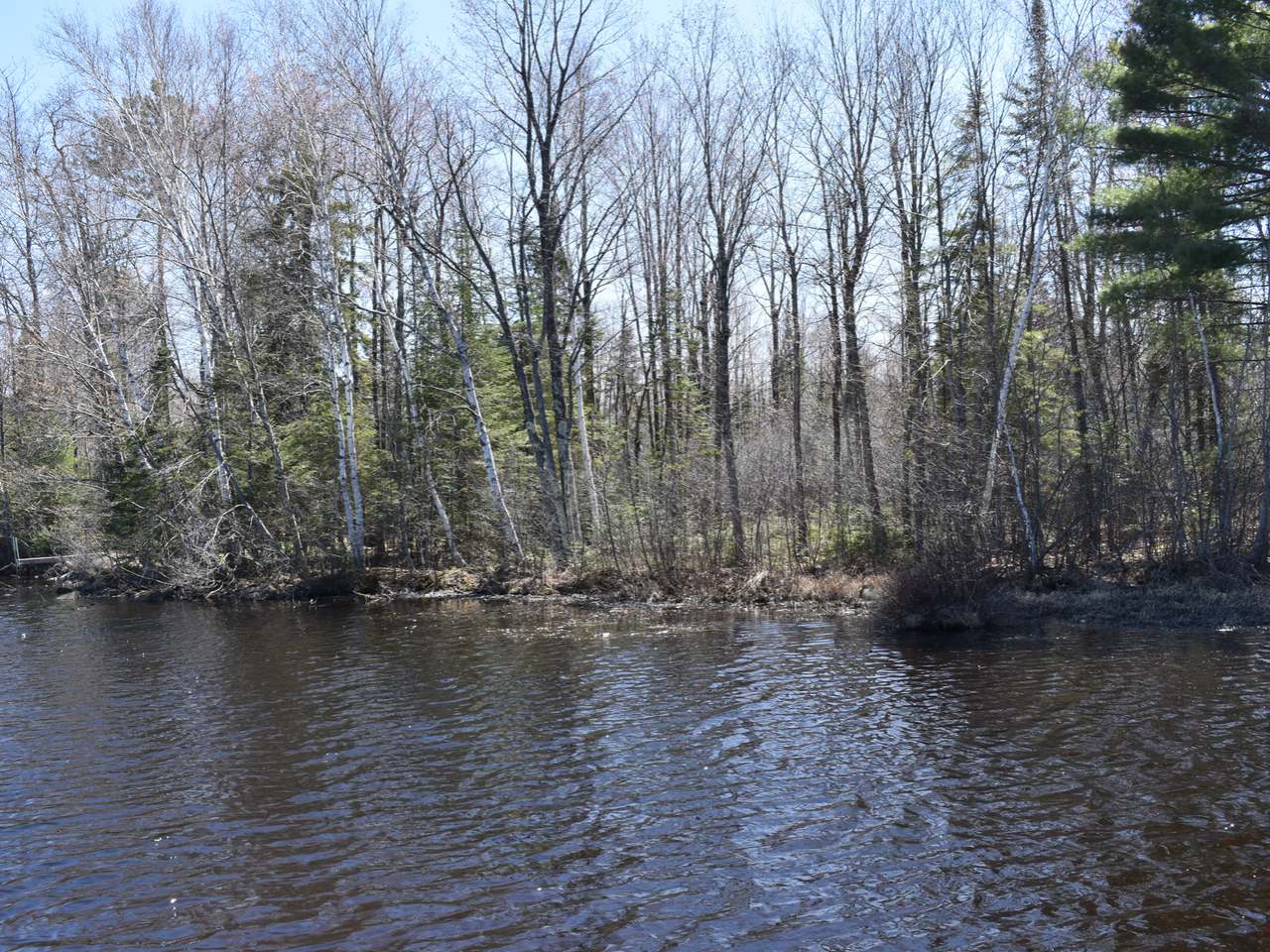 Lot 8 Pfeifer Road Tomahawk, WI 54487 - Photo 5 of 25 Gallery Image 5