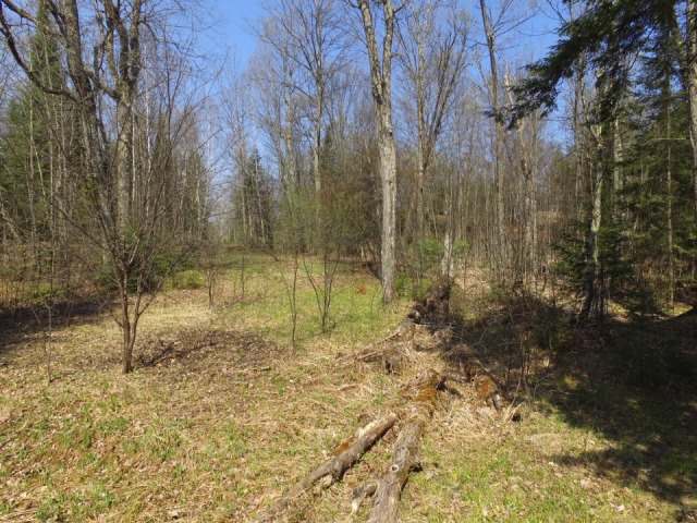 On Priest Point Lane Presque Isle, WI 54557 - Photo 13 of 15 Gallery Image 13