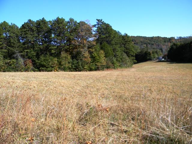 Lot 2 Parsonage Road White Pine, TN 37890 - Photo 3 of 5 003