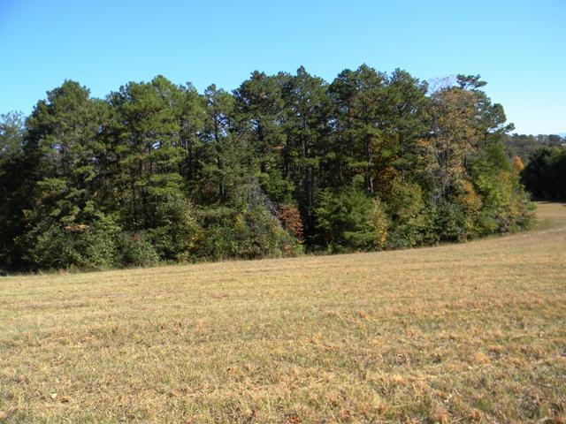 Lot 2 Parsonage Road White Pine, TN 37890 - Photo 4 of 5 004