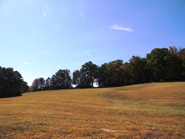 Lot 2 Parsonage Road White Pine, TN 37890 - Photo 5 of 5 022