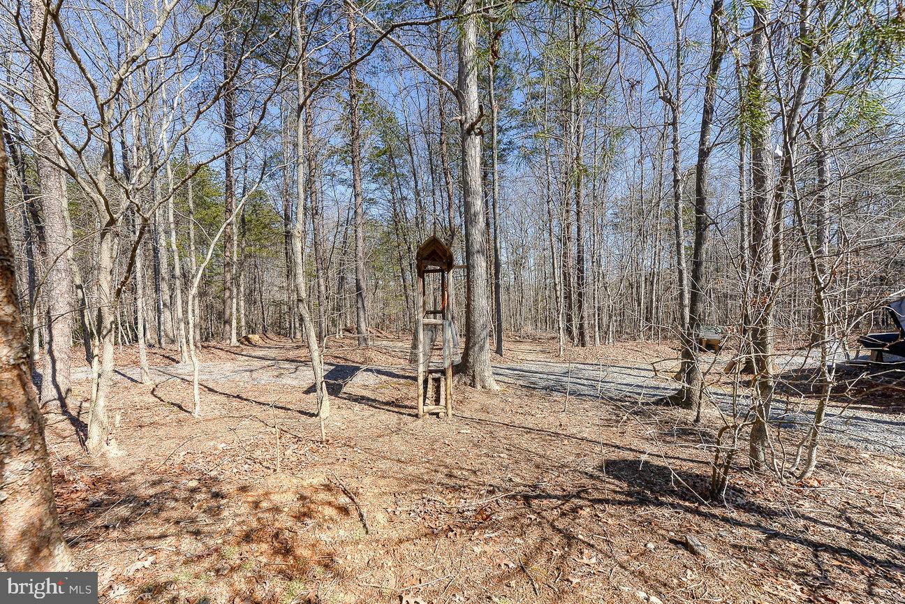 16593 Mountain Track Road Orange, VA 22960 - Photo 64 of 70