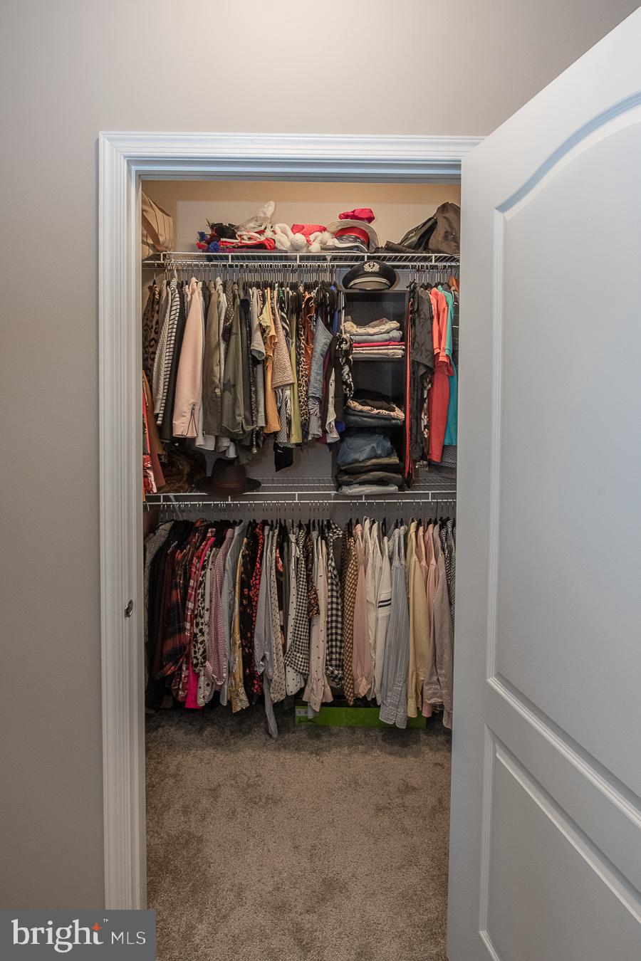 446 Carson Terrace Huntingdon Valley, PA 19006 - Photo 23 of 56 Primary Closet #1