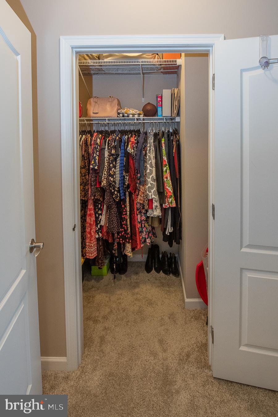 446 Carson Terrace Huntingdon Valley, PA 19006 - Photo 25 of 56 Primary Closet #2