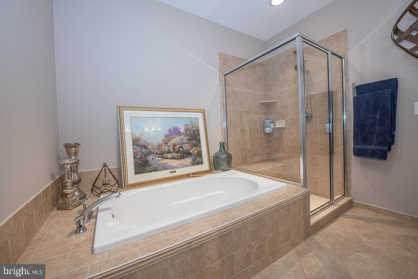 446 Carson Terrace Huntingdon Valley, PA 19006 - Photo 31 of 56 Primary Bathroom