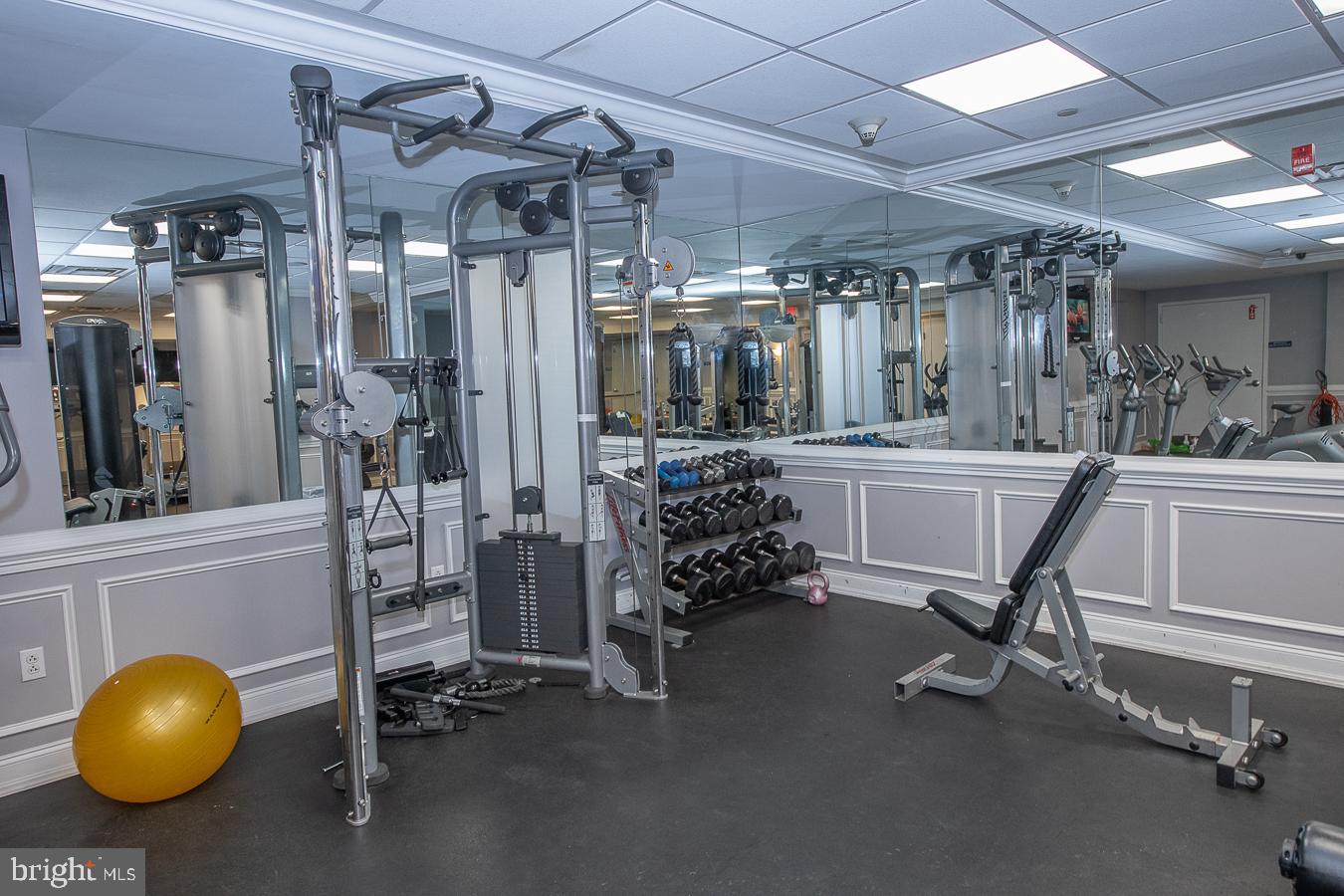 446 Carson Terrace Huntingdon Valley, PA 19006 - Photo 44 of 56 Gym