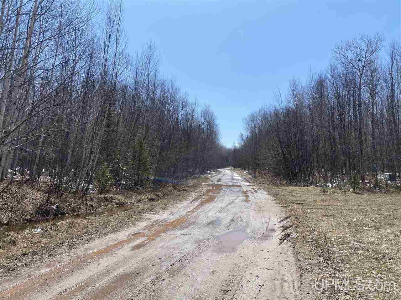 Tbd Bolo Road Marenisco, MI 49947 - Photo 13 of 14