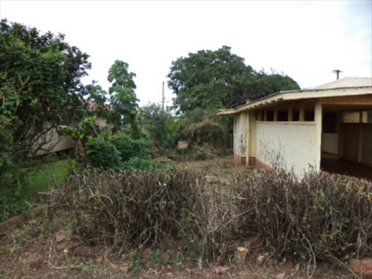 4709 Kane Road Hanapepe, HI 96716 - Photo 7 of 10 Gallery Image 7