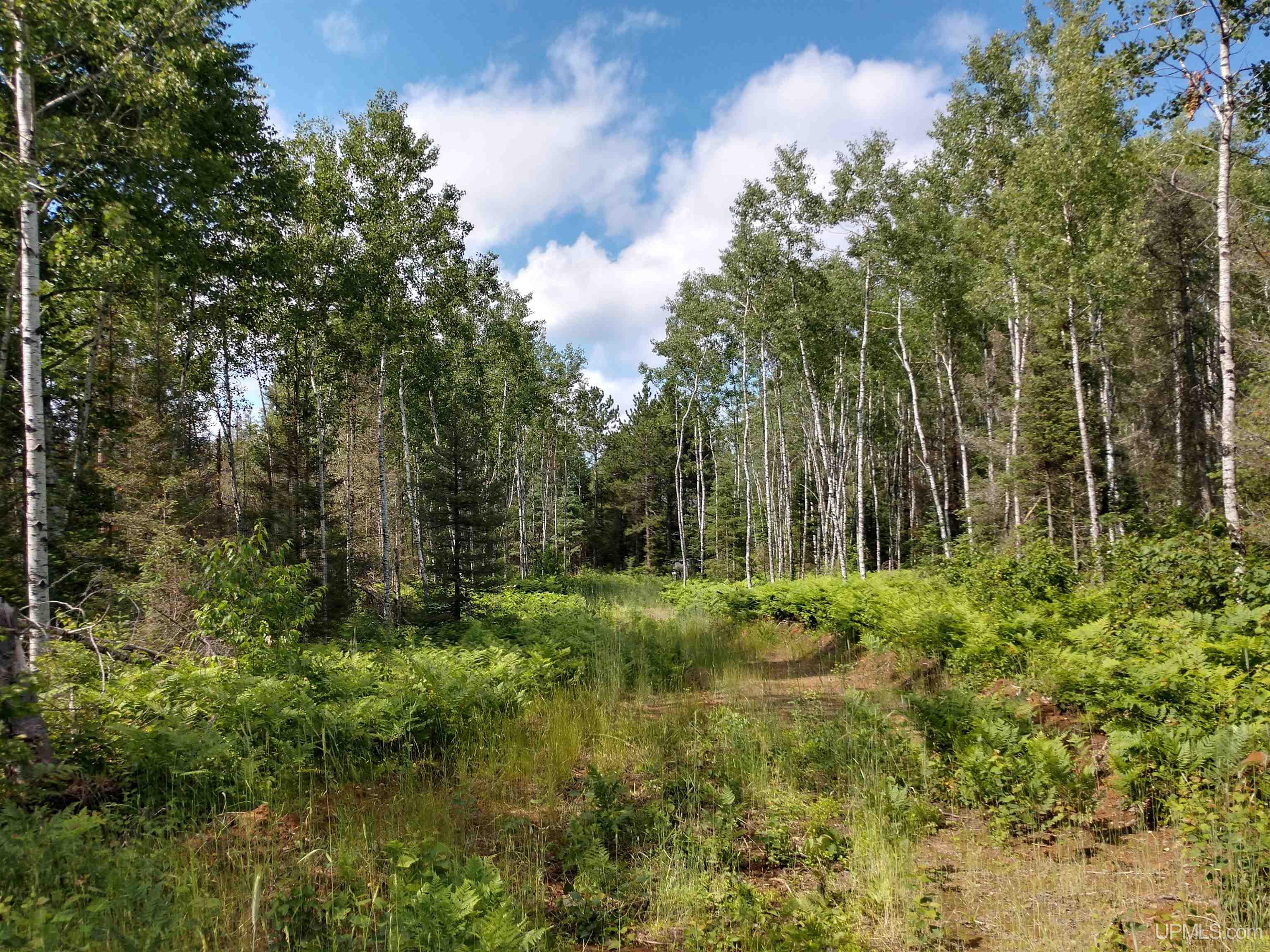 601 County Road 601 Road Republic, MI 49879 - Photo 45 of 60