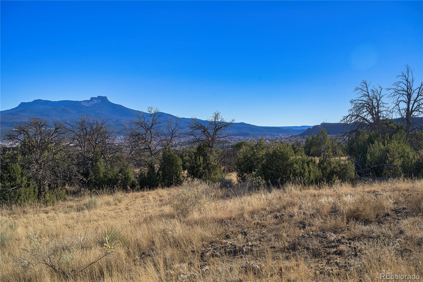 15311 Rancho Verde Road Trinidad, CO 81082 - Photo 12 of 40 a view of a lush green outdoor space with a lake view