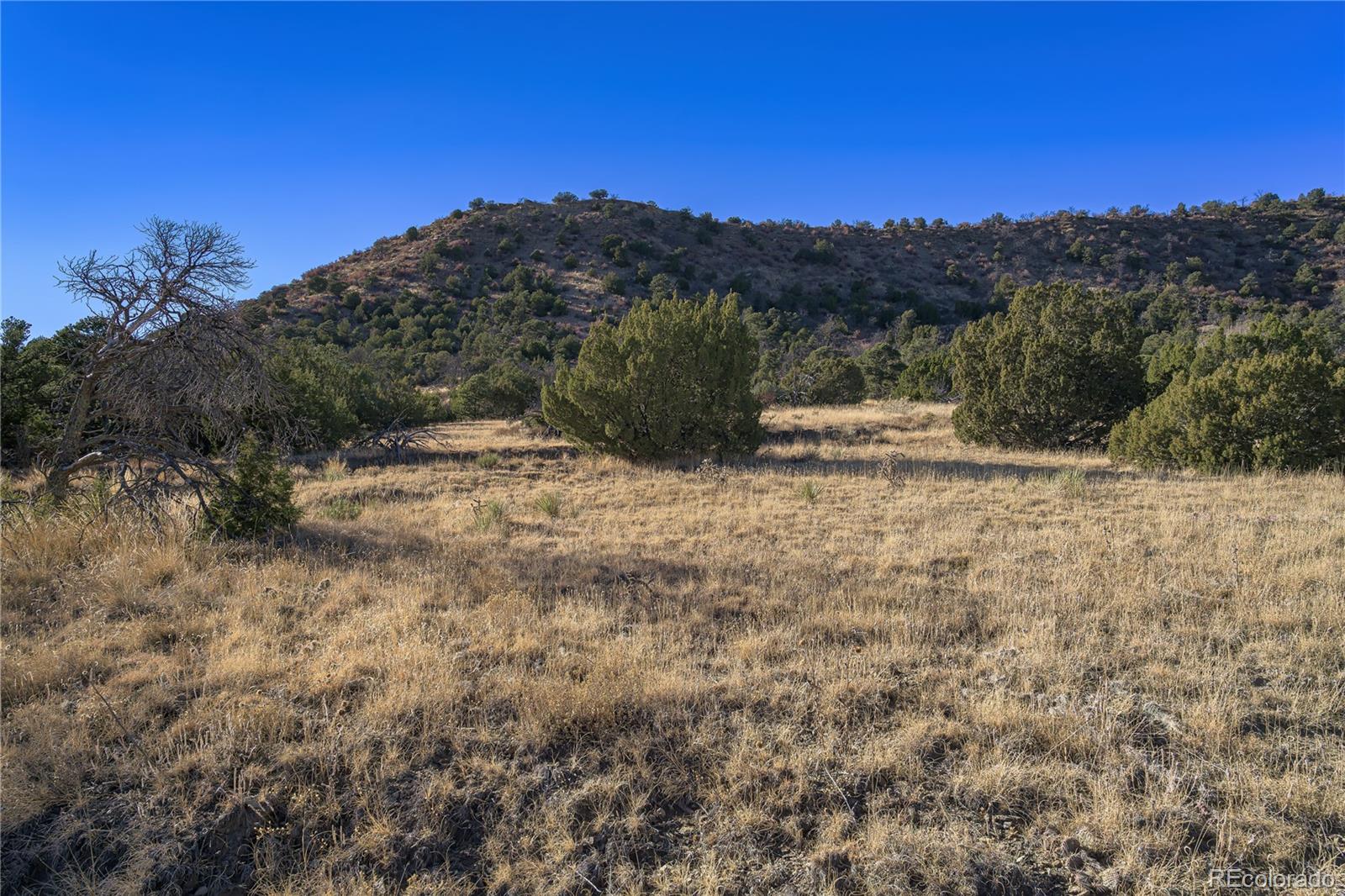 15311 Rancho Verde Road Trinidad, CO 81082 - Photo 20 of 40 a view of a yard with a tree