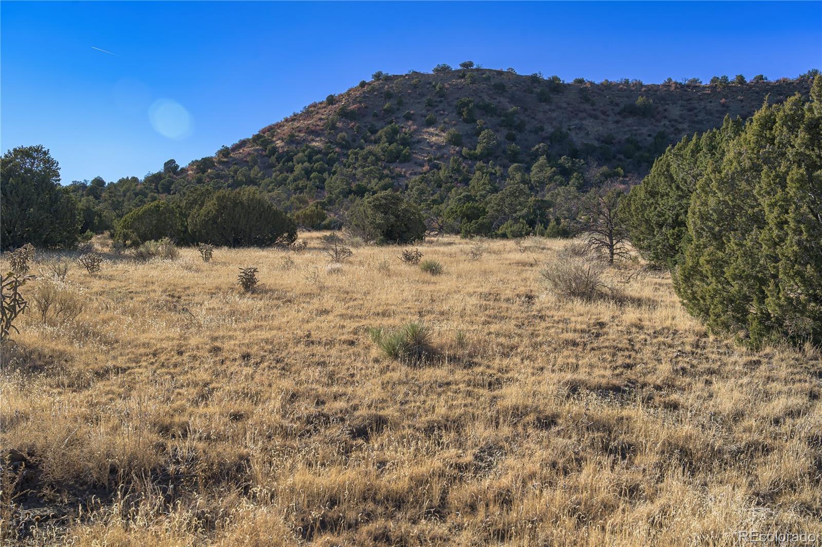 15311 Rancho Verde Road Trinidad, CO 81082 - Photo 21 of 40 a view of a yard