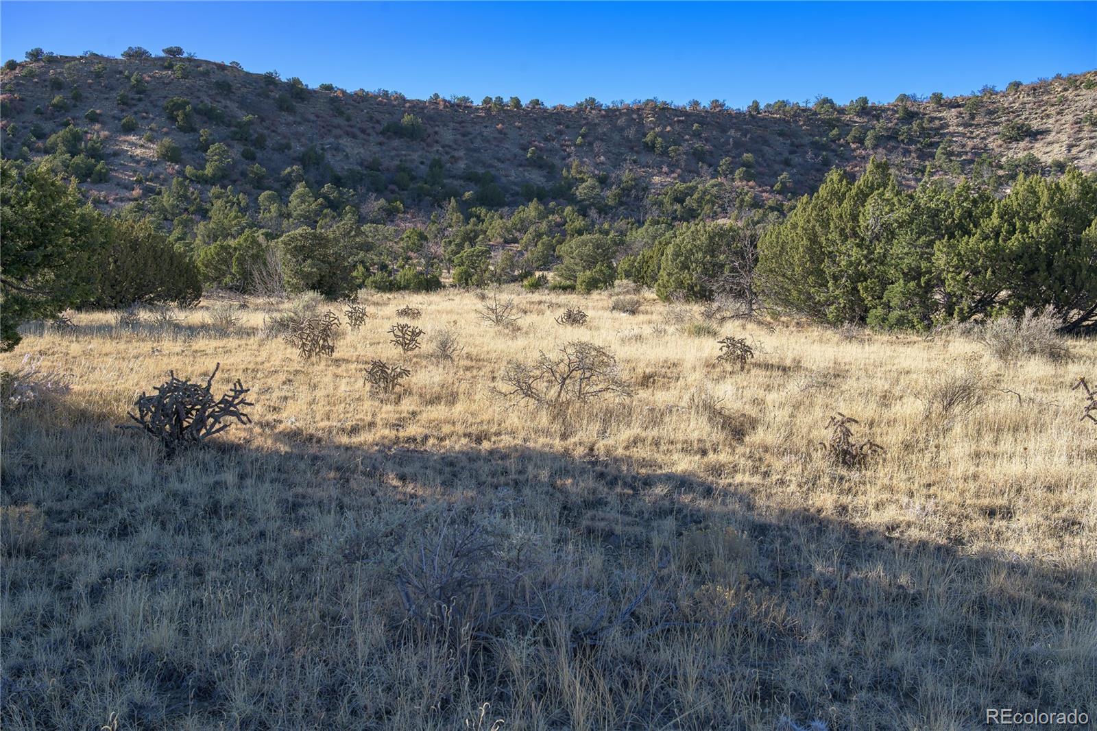 15311 Rancho Verde Road Trinidad, CO 81082 - Photo 22 of 40 a view of a yard