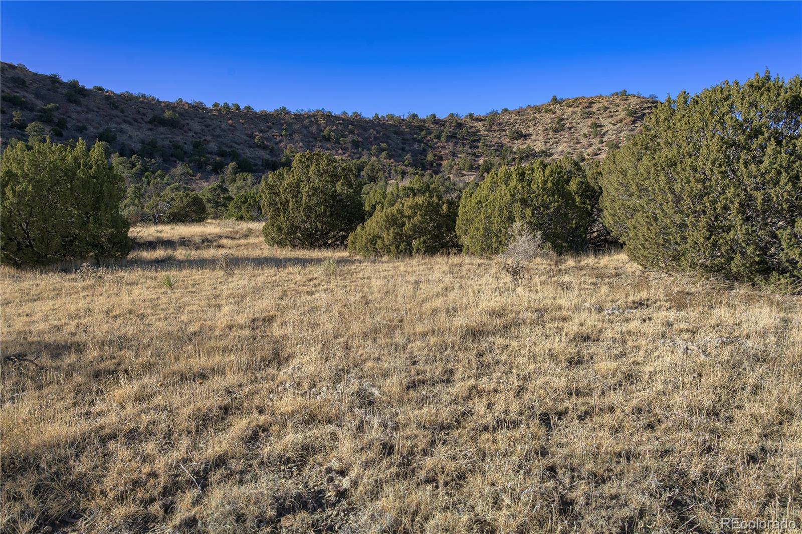 15311 Rancho Verde Road Trinidad, CO 81082 - Photo 23 of 40 a view of a dry yard with mountains in the background