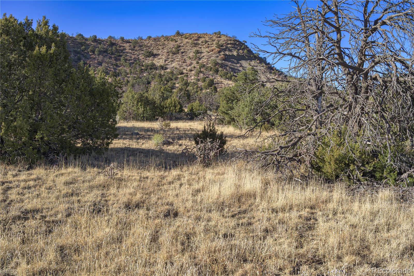 15311 Rancho Verde Road Trinidad, CO 81082 - Photo 24 of 40 a view of lake