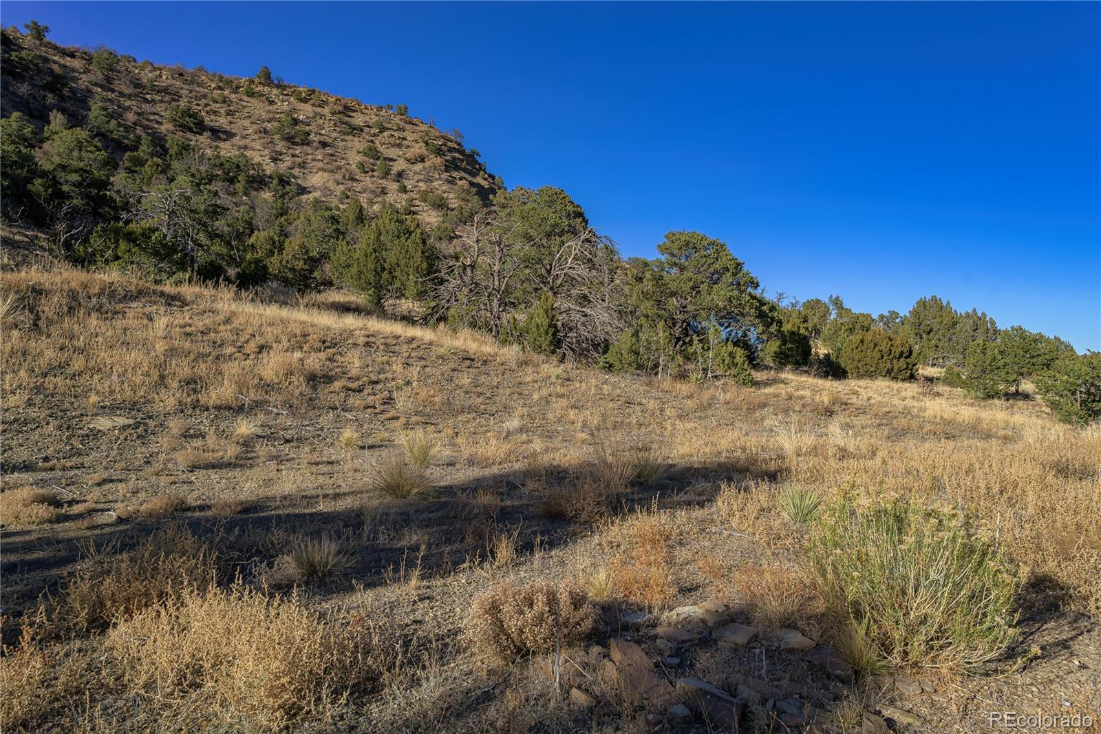 15311 Rancho Verde Road Trinidad, CO 81082 - Photo 26 of 40 a view of a lake with a mountain in the background