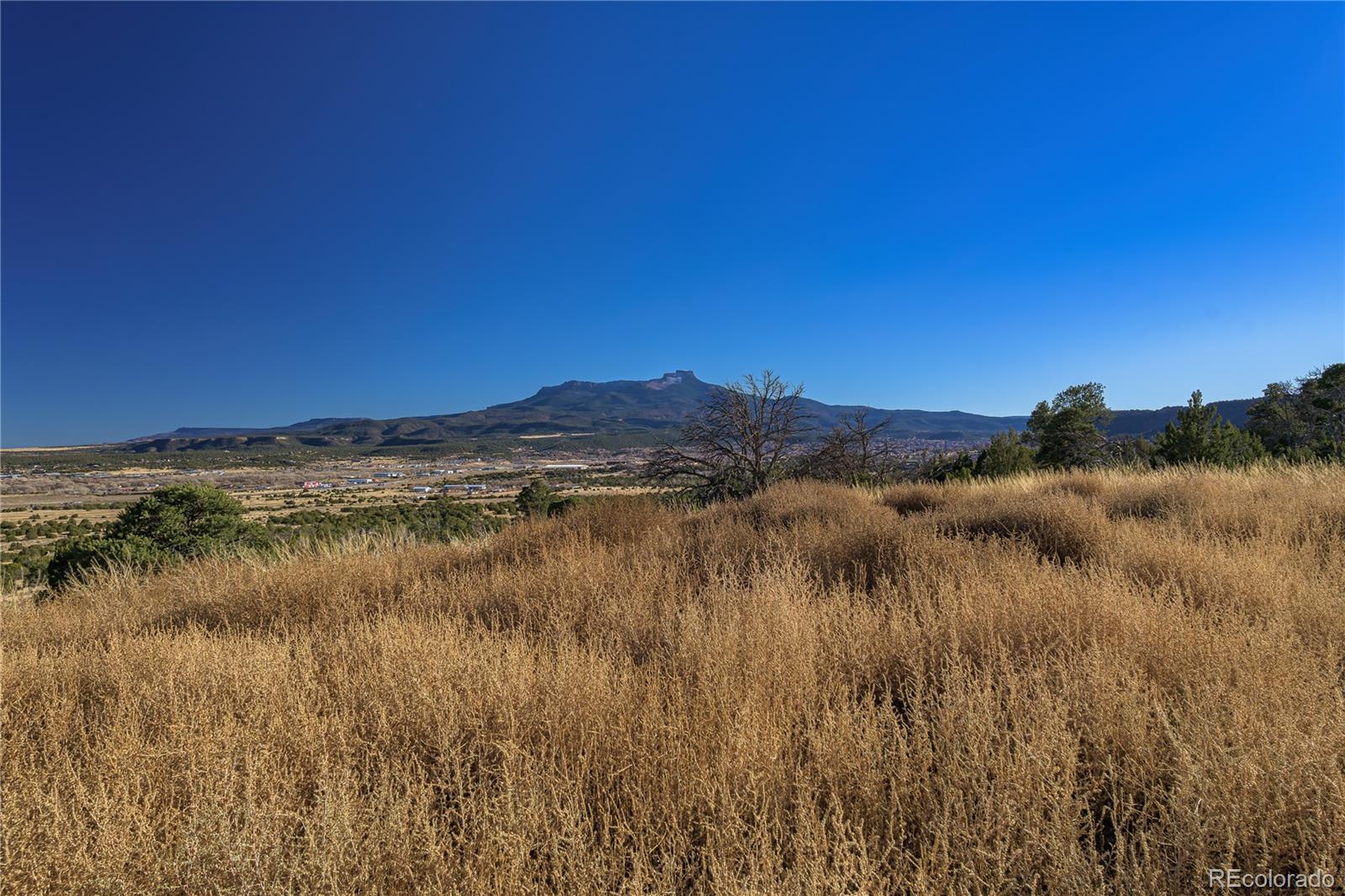 15311 Rancho Verde Road Trinidad, CO 81082 - Photo 4 of 40 a view of lake and mountain