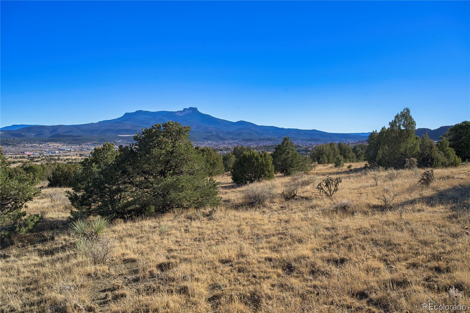 15311 Rancho Verde Road Trinidad, CO 81082 - Photo 10 of 40 a view of a dry yard with mountains