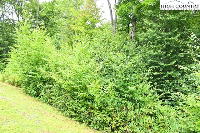 a view of a lush green field