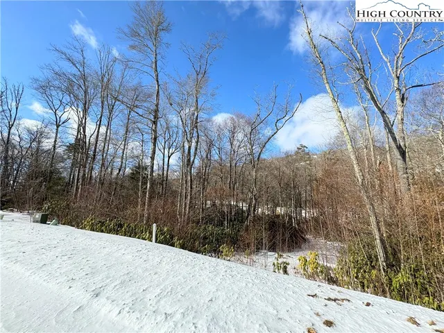 a view of a backyard of the house