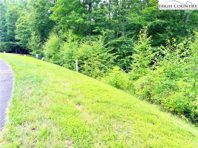 a view of yard with green space