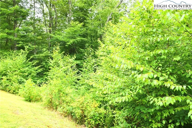 a view of a big yard