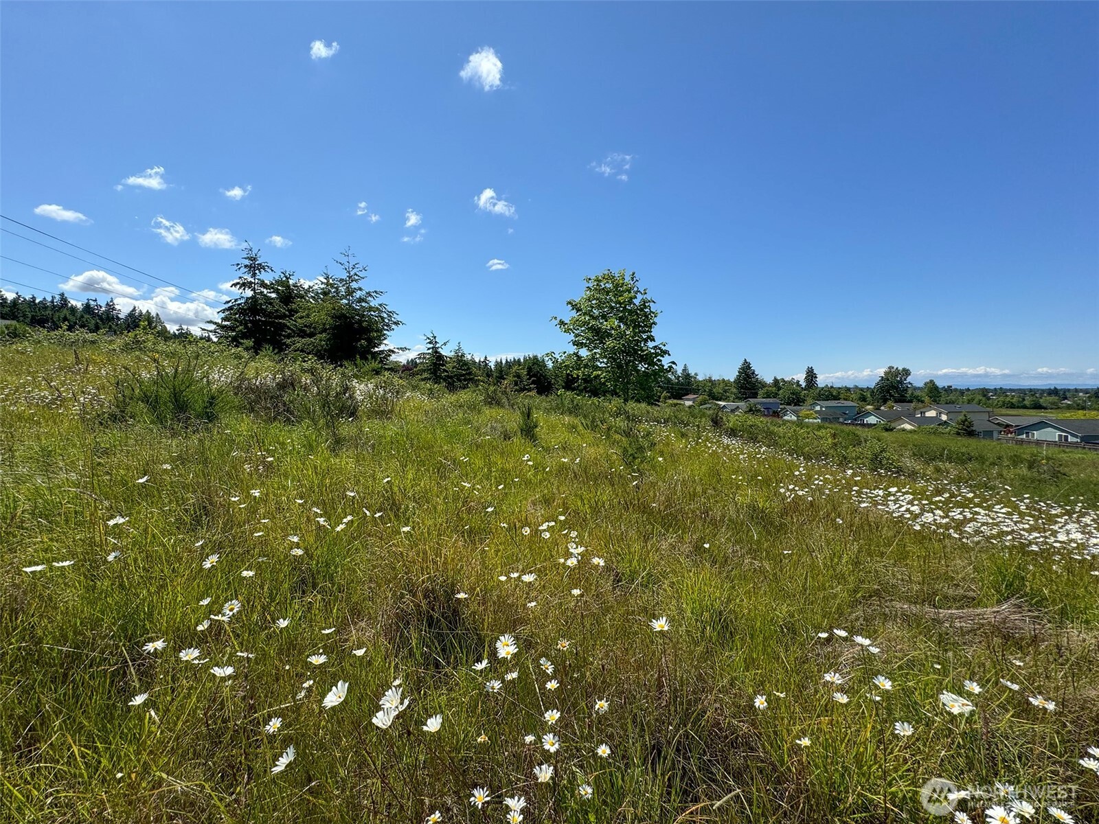 9999 Miller Road Sequim, WA 98382 - Photo 8 of 21