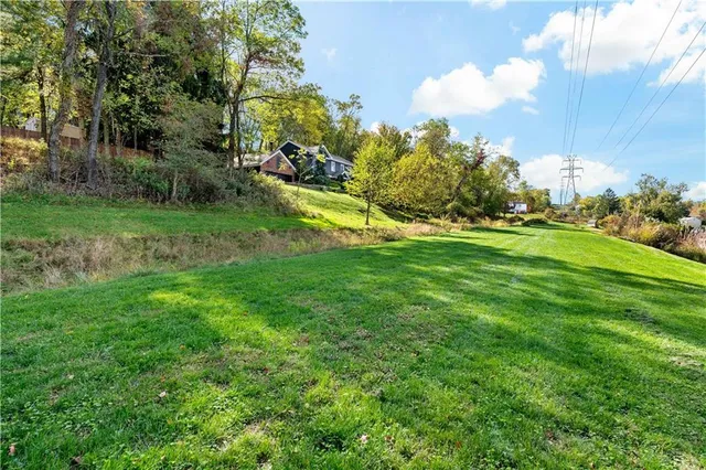 a view of a park with large trees