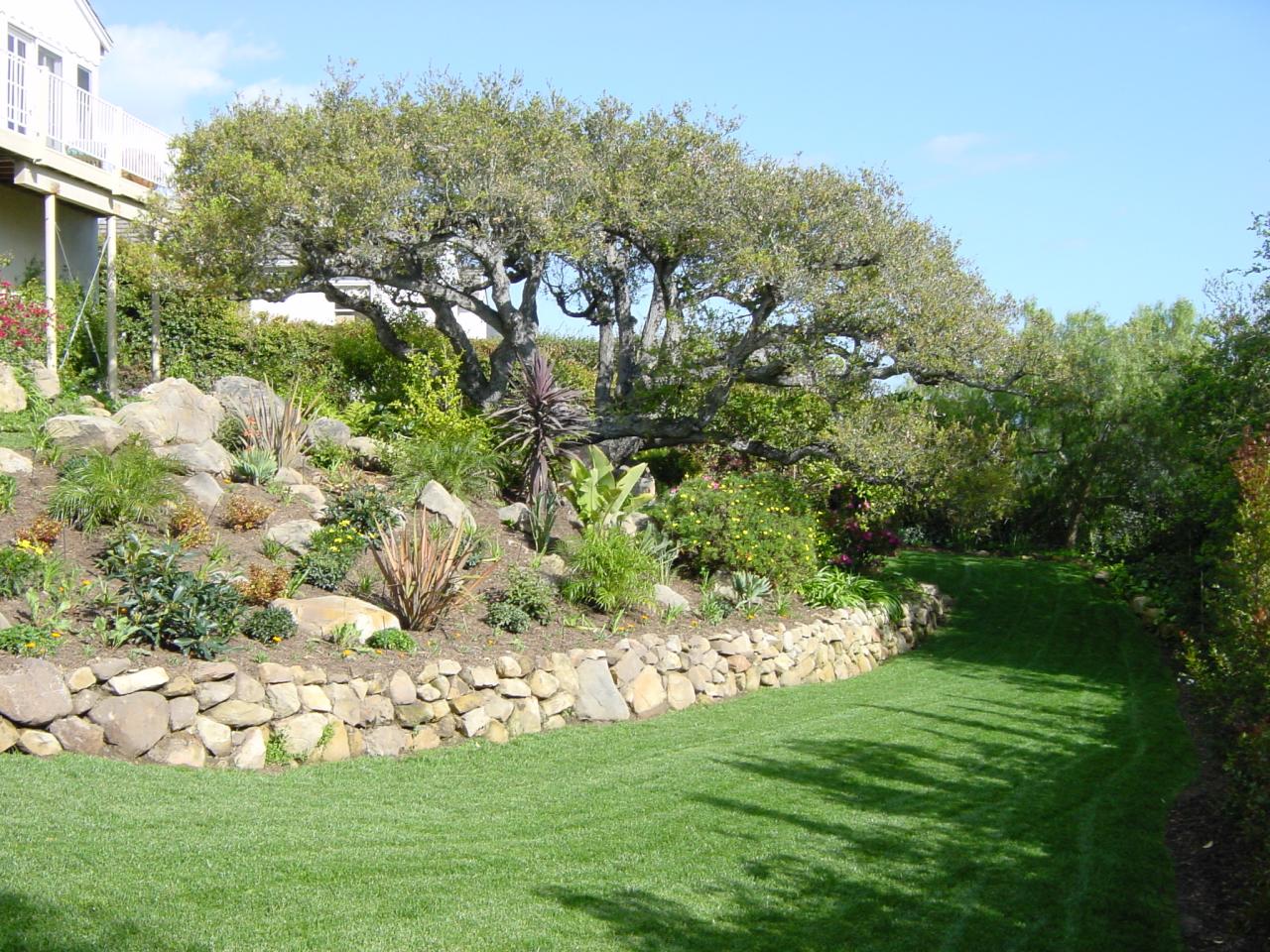 16 Rubio Road Santa Barbara, CA 93103 - Photo 12 of 23 a view of a garden