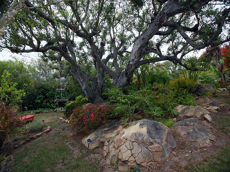 16 Rubio Road Santa Barbara, CA 93103 - Photo 14 of 23 a view of outdoor space and yard