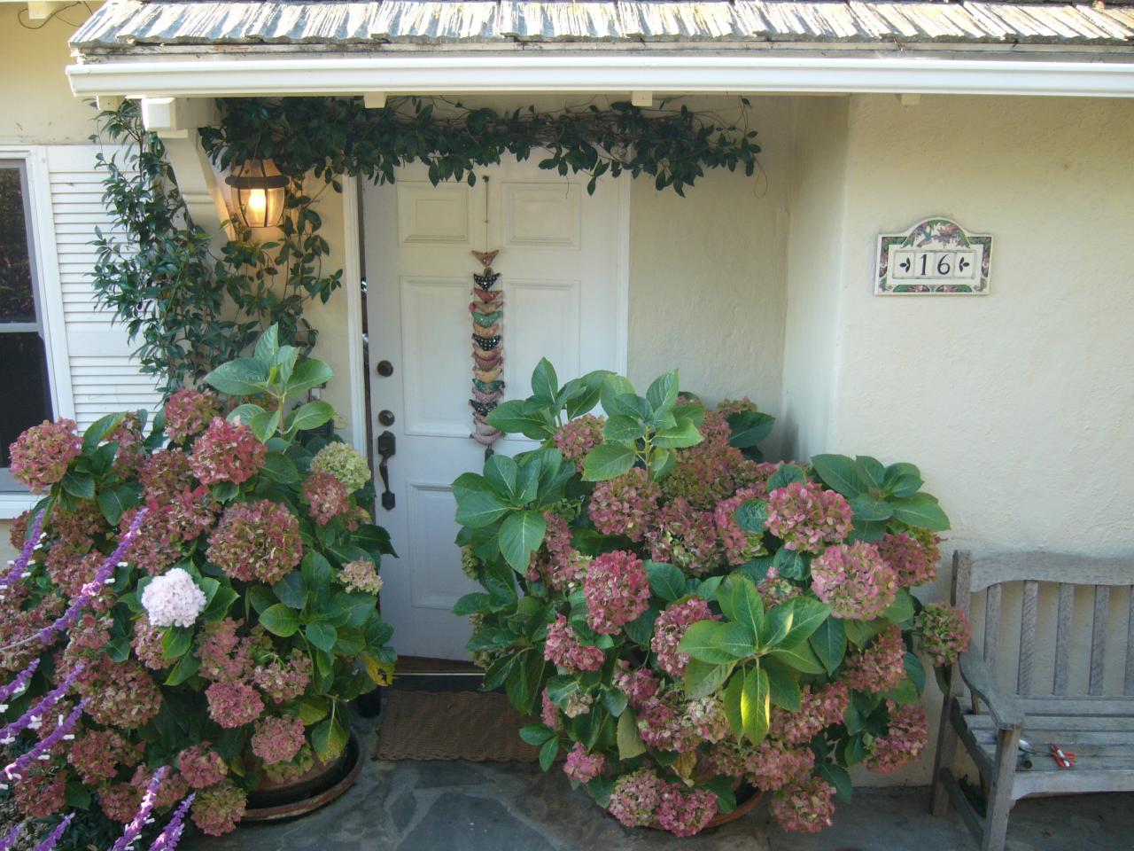 16 Rubio Road Santa Barbara, CA 93103 - Photo 19 of 23